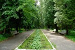 Санаторий им. Горького